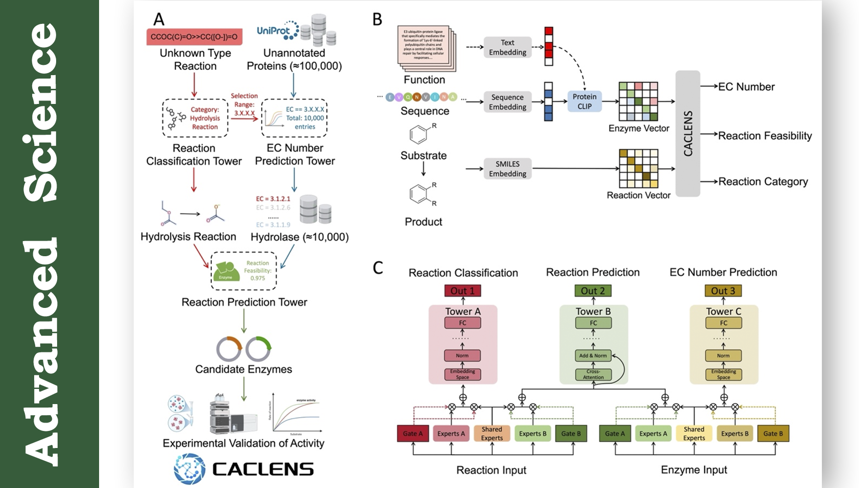 營(yíng)養(yǎng)與健康所武愛(ài)波研究組構(gòu)建多模態(tài)多任務(wù)酶篩選平臺(tái)CACLENS